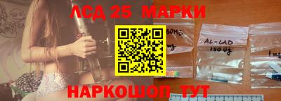 стаф Будённовск