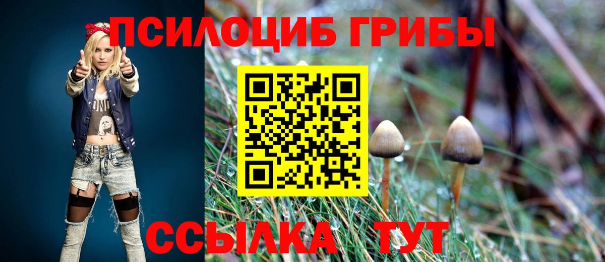 Конаково  Галлюциногенные грибы MAGIC MUSHROOMS  Вход с VPN 